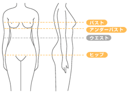 ボディサイズ